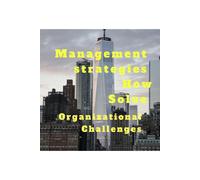 John Lok Management strategies How Solve Organizational Challanges (Tascabile)