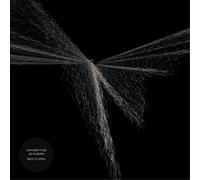 John Matthias & Jay Auborn Race to Zero (Vinyl LP) 12" Album