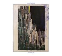 John Moreland Birds in the Ceiling (Vinyl LP) 12" Album