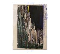 John Moreland Birds in the Ceiling (Vinyl LP)