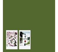 John Moreland Visitor (CD) Album