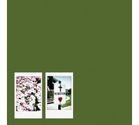 John Moreland Visitor (CD) Album