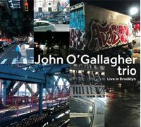 John O'Gallagher Trio Live in Brooklyn Album