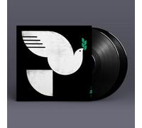 John Patitucci - Spirit Fall
