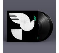 John Patitucci Spirit Fall (Vinyl LP) 12" Album