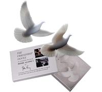 John Perry - Tartarughe di Natale con simbolo ufficiale dell'amicizia, 2 pezzi, prodotto dall'artista ufficiale del film Kevin Alone In NY