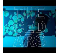 John Vanderslice The Cedars (Vinyl LP)