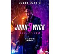 JOHN WICK 3 (DVD)
