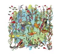 John Zorn The Dreamers - The Gentle Side (Vinyl LP)