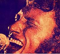 Johnny Hallyday - Palais De Sports 71
