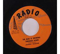 JOHNNY WILDCAR - the blue is showing through again / was i just a passing fancy