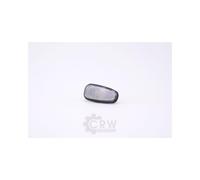 JOHNS Indicatore Entrambi i Lati per Opel Astra G Cc F48_F08_Zafira A F75