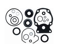 Johnson Evinrude 15-20-25-30-35 Case Marce Basso Unità Kit Guarnizione 396351