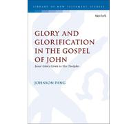 Johnson Pang Glory and Glorification in the Gospel of John (Copertina rigida)