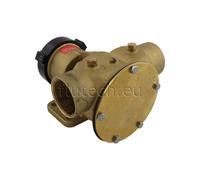 Johnson Pump 10-13022-99 Pompa a girante F8B-5001