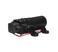 Johnson Pump SPX 10-22020-101 Pompa Acqua Pressione - 1.1 Gpm 12 Volt Marino