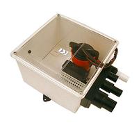 Johnson Pumps Shower Sump Pump Multi 1000 GPH, Pompa Doccia Uomo, UNT