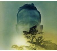 Johnston, Duquette - Rabbit Runs A Destiny