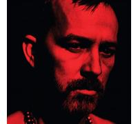 Johnston Duquette - Social Animals