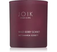 JOIK Home & Spa Wild Berry Sorbet candela profumata 150 g