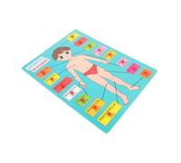 JOINPAYA 1set Puzzle Del Per Educativo Anatomia Giocattoli Didattici Per Sviluppare La Conoscenza Dei Parte Del Facile Manipolare e Resistente Per La Prima