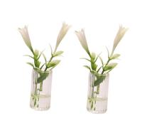 JOINPAYA 2 Pezzi Miniatura Vaso Decorativo per Resistente da Giglio Realistici per Decorazioni da Tavolo e Giardino