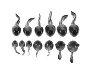 JOINPAYA Figurine Miniature in Resina Nero a Forma di Girino 13 Ornamenti Versatili e Creativi per Decorazione di Piscina e Giardino Esterno