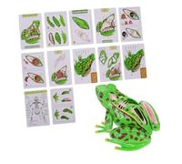 JOINPAYA Kit di Biologia di Dissezione 4d Anatomico per Lezioni di Scienze a Casa e Scuola, Materiale Didattico Stem Assemblabile e Dettagli Anatomici Realistici per Bambini