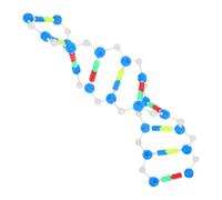 JOINPAYA Kit Educativo Dna a Doppio Filamento Struttura per Scienze Biologiche, Kit Didattico di Struttura Genetica e Variazione per Studenti e Insegnanti Stem