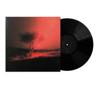 Joji - Piss in the Wind