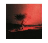 - Joji - Piss In The Wind - CD