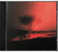 Joji - Piss In The Wind - Cd