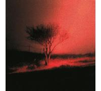 Joji - Piss In The Wind (CD)