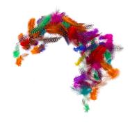 jojofuny 100 Pezzi Piume Colorate per Decorazioni Fai da Te per Matrimoni Feste e Decorazioni Domestiche Piume Naturali Resistente per Creare Centrotavola e Sogni Catturatori