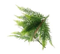 jojofuny 2pezzi Felci Artificiali Realistiche Plastica per Decorazione Interni Ed Esterni Piante Finta per Casa Ufficio Giardino e Matrimoni Naturale