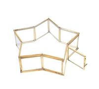 jojofuny Piccola Bottiglia dei Desideri in Vetro a Forma di Stella a Cinque Punte Portagioie Fiori Conservati Scatola Regalo di Compleanno Multifunzionale e Pratica per Messaggi e