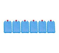 jojomis 6 blocchi di ghiaccio per refrigeratori, riutilizzabili, portatili, per picnic, campeggio, escursionismo, spiaggia, viaggi