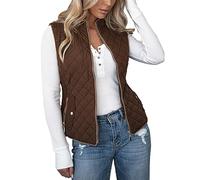 JokeLomple Gilet da Donna Giacca - Imbottito in Cotone Cappotti Antivento Giacca Senza Maniche Gilet di Transizione Leggero Oversize Giacca Antivento Termica Giubbotto Gilet Zip Caldo Autunno Inverno
