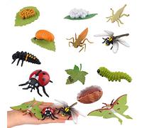 JOKFEICE 12 giocattoli per insetti, ciclo di vita in plastica di libellula, coccinella e Samia Cynthia, statuette di insetti, giocattoli educativi precoci, progetti scientifici, regalo di Natale e