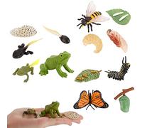 JOKFEICE 13 giocattoli per insetti ciclo di vita della farfalla, modello di azione di ape e rana, giocattoli educativi precoci progetto scientifico regalo di compleanno di Natale per bambini