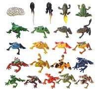 JOKFEICE Figure animali 22 pezzi Realistico Figure di rana Modello d'azione per il progetto scientifico, apprendimento di giocattoli educativi, regalo di compleanno, topper per bambini