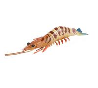 JOKFEICE Giocattolo per animali marini realistici gamberetti monodonti, giocattolo educativo per il giardino delle fate, bambini (mezzo)