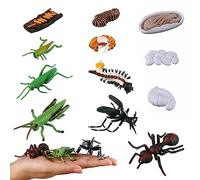JOKFEICE Insetti Giocattolo in Plastica, 12 Pezzi, Ciclo Vitale della Locusta, Formica Rossa e Zanzara, Figure Realistiche, Giocattolo Educativo per Progetti Scientifici