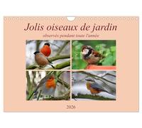 Jolis oiseaux de jardin (Calendrier mural 2026 DIN A4 vertical), CALVENDO calendrier mensuel: Observés pendant toute l'année...
