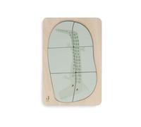 Jollein- Coccodrillo Puzzle in Legno, 105-001-68056