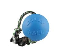 Jolly Pets, Palla Giocattolo “Romp’n’Roll” per Cani, da 15 cm, Colore Azzurro