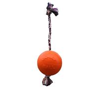 Jolly Pets Romp-n-Roll - Giocattolo per cani, 20 cm, colore: Arancione