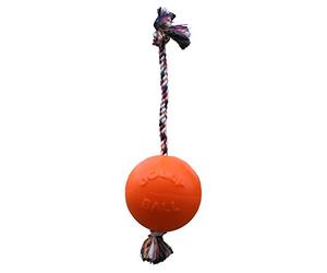 Jolly Pets Romp-n-Roll - Giocattolo per cani, 20 cm, colore: Arancione