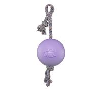 Jolly Pets Romp-n-Roll - Giocattolo per cani con corda e palla, 15,2 cm/medio, colore: viola chiaro