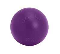 Jolly PetsPush-N-Play Palla per Cani (TL5212)